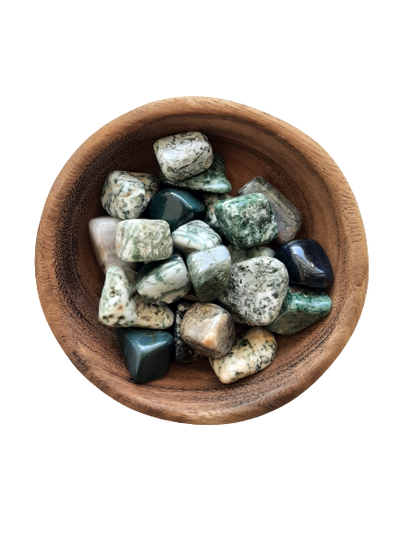 Tree Agate Crystal Set of Tumbled Stones Smoothed and Polished - 2x3cm