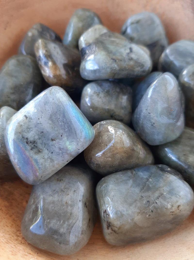 Labradorite Crystal Set of Tumbled Stones Smoothed and Polished - 2x3cm