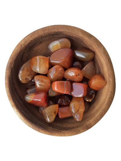 Carnelian Crystal Set of Tumbled Stones Smoothed and Polished - 2x3cm