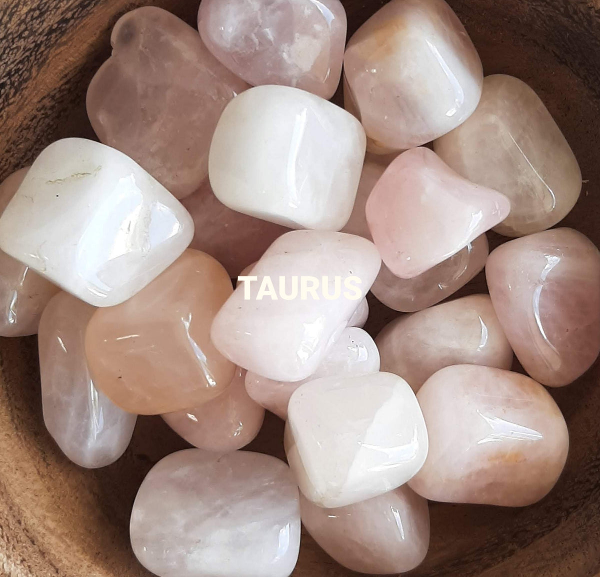 Taurus Season
