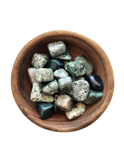 Tree Agate Crystal Set of Tumbled Stones Smoothed and Polished - 2x3cm
