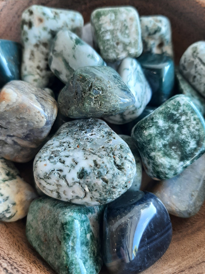 Tree Agate Crystal Set of Tumbled Stones Smoothed and Polished - 2x3cm