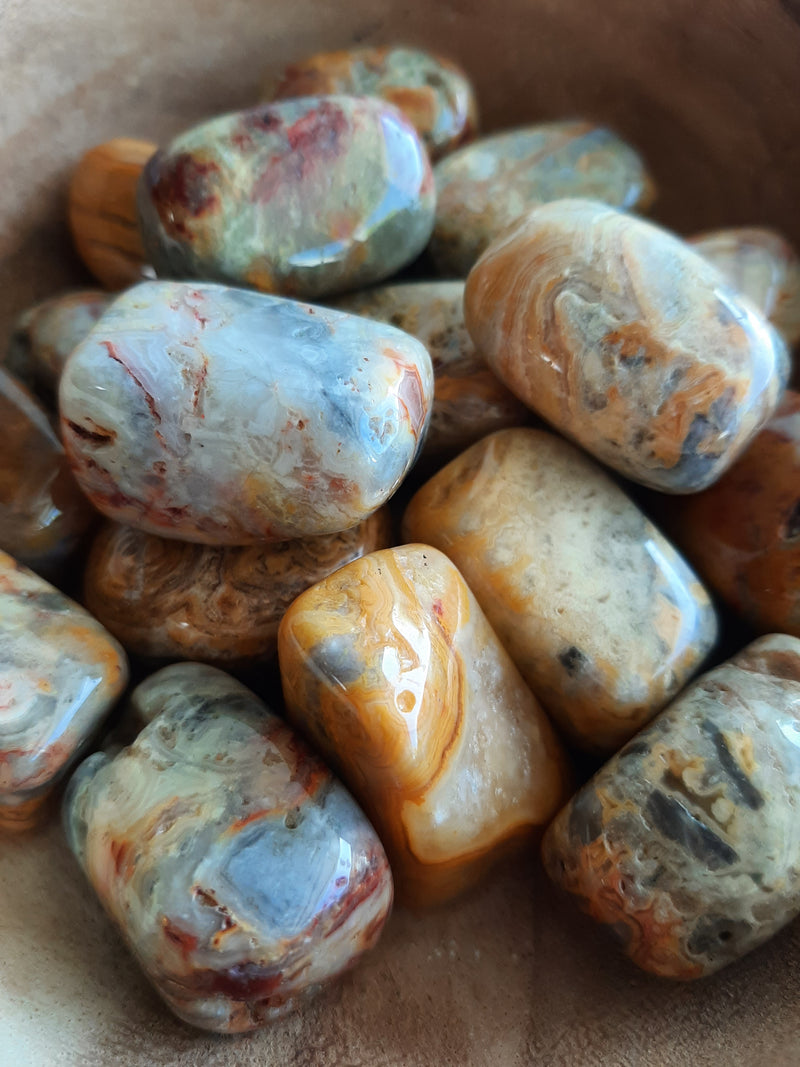 Crazy Lace Agate Crystal Set of Tumbled Stones Smoothed and Polished - 2x3cm
