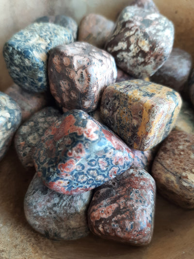 Leopardskin Jasper Crystal Set of Tumbled Stones Smoothed and Polished - 2x3cm