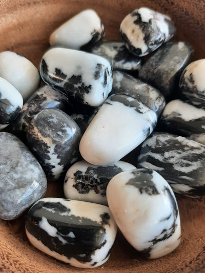 Zebra Jasper Crystal Set of Tumbled Stones Smoothed and Polished - 2x3cm