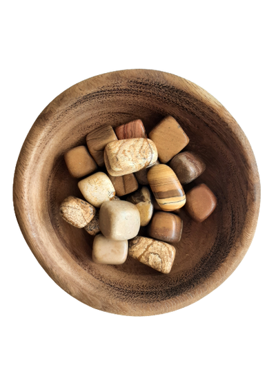 Picture Jasper Crystal Set of Tumbled Stones Smoothed and Polished - 2x3cm