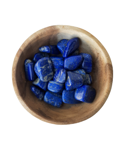 Lapis Lazuli Crystal Set of 6 Tumbled Stones Smoothed and Polished - 2x3cm