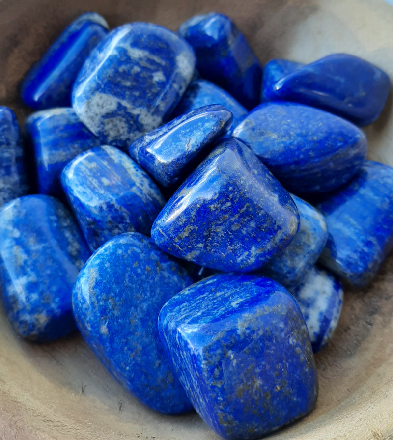 Lapis Lazuli Crystal Set of 6 Tumbled Stones Smoothed and Polished - 2x3cm