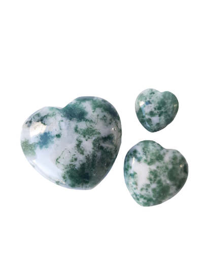 Tree Agate Crystal Heart Cut and Polished Mineral