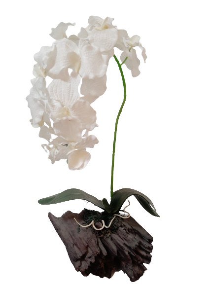 Ornamental Thai Orchid on Wood