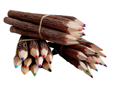 Natural Wooden Bush Pencils Mixed Colour (pack of 10)