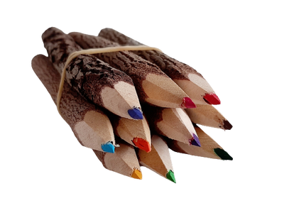 Natural Wooden Bush Pencils Mixed Colour (pack of 10)