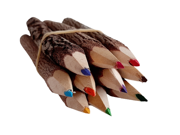 Natural Wooden Bush Pencils Mixed Colour (pack of 10)