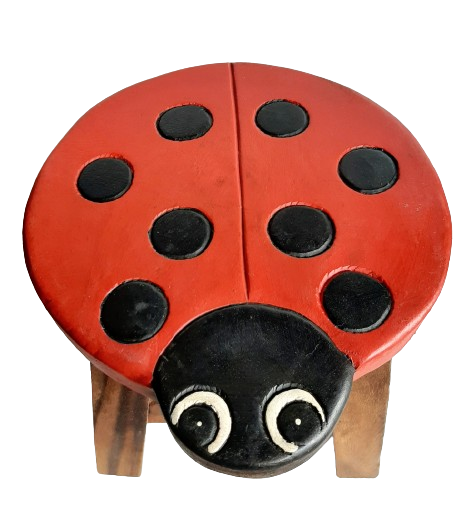 Wooden Kids Stool