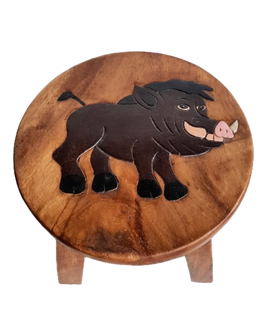 Wooden Kids Stool