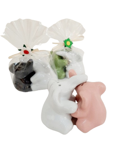 Ceramic Salt 'n Pepper Shaker Set