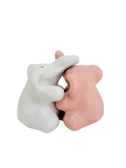 Ceramic Salt &