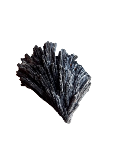 Black Kyanite Mineral Specimen